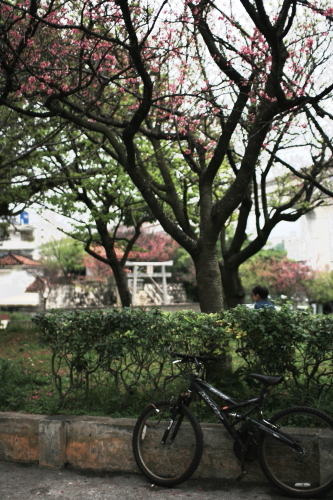 f0093592_2359303.jpg