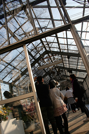 d0100095_19585693.jpg