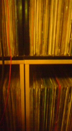 c0202101_1427318.jpg