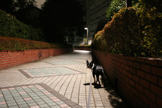 d0070702_22135488.jpg