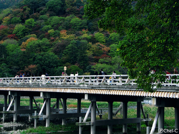 a0154706_142310.jpg