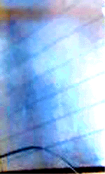 e0103408_12472753.gif