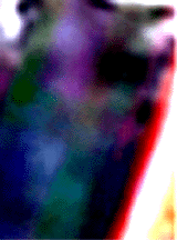 e0103408_12492018.gif