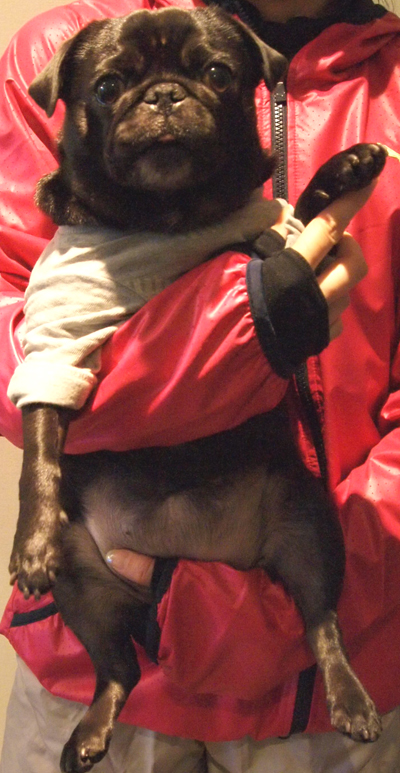 a0096015_2027436.jpg