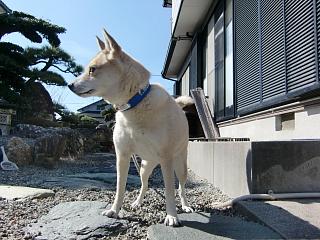 b0073616_13184731.jpg
