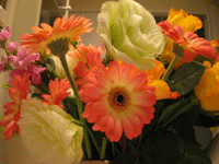 d0038319_9174313.gif