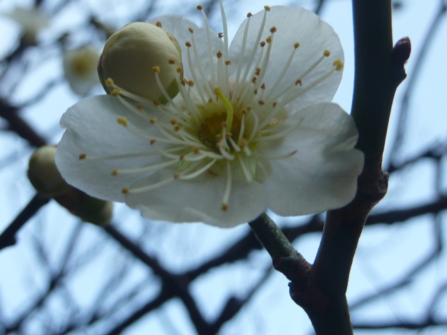 c0048121_17535298.jpg
