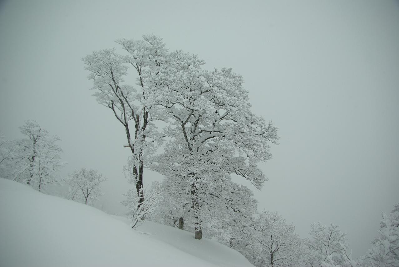 b0062024_1332298.jpg