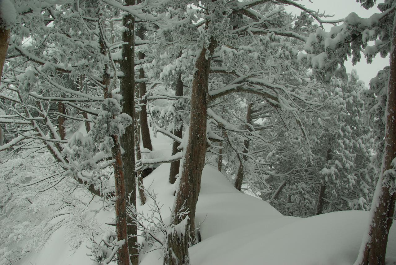 b0062024_13421824.jpg