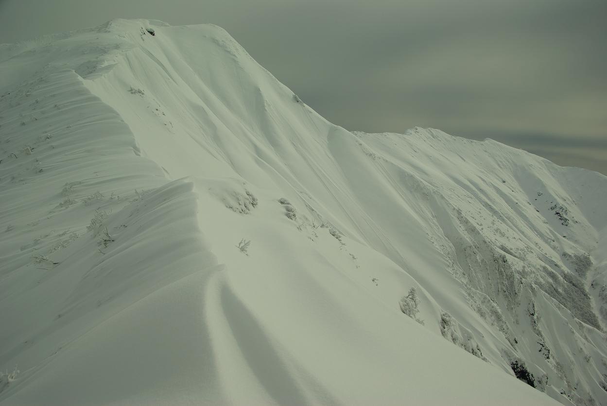 b0062024_143739.jpg