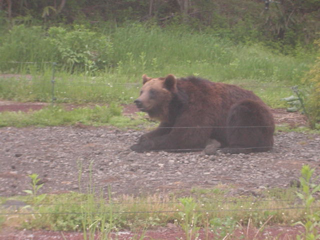 d0142525_044167.jpg