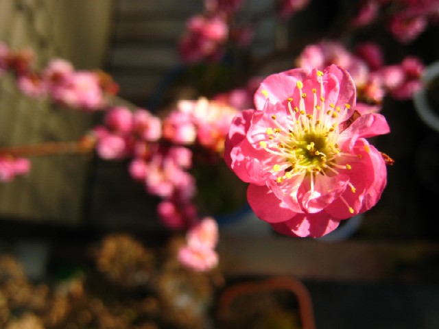 f0085728_032424.jpg