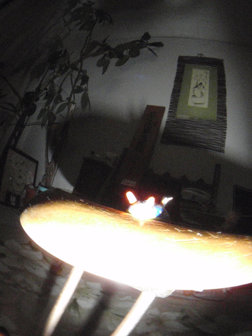c0034029_059385.jpg