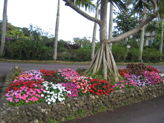 e0166032_20264063.jpg