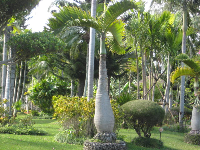 e0166032_20285223.jpg