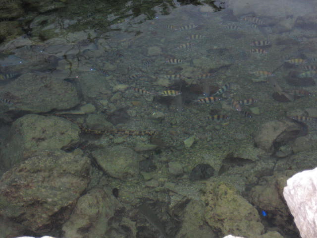 e0166032_20493564.jpg