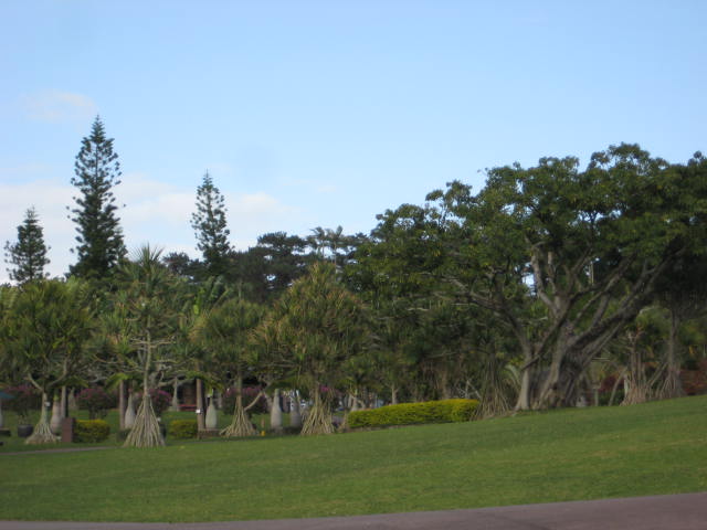 e0166032_21145094.jpg
