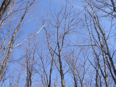e0008833_16545076.jpg