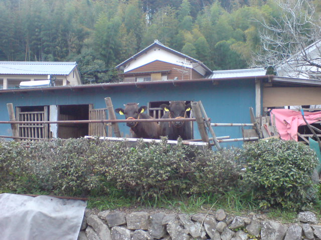 c0038334_2214419.jpg