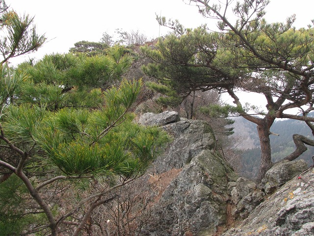b0097836_12155830.jpg