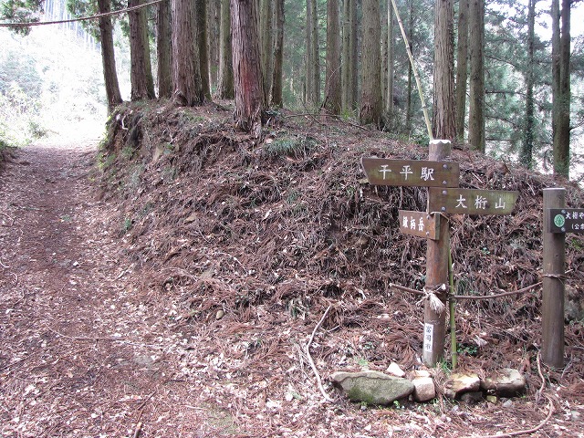 b0097836_125546.jpg