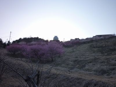 c0211540_21525627.jpg