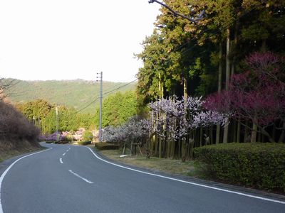 c0211540_21533641.jpg