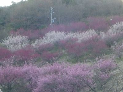 c0211540_21554629.jpg