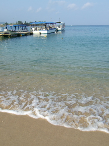 d0073342_11451290.jpg