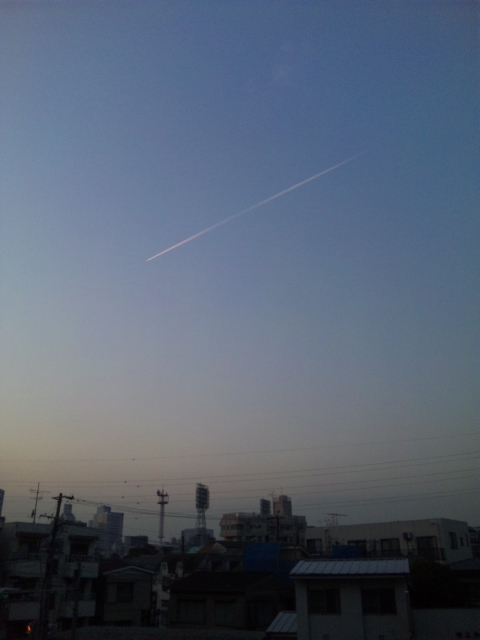 f0046442_112673.jpg