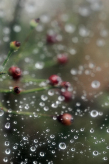 c0214345_5503277.jpg