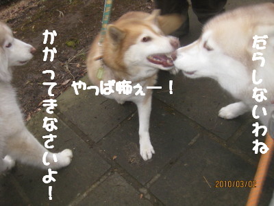 e0121548_2110858.jpg