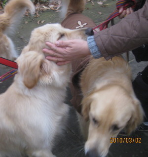 e0121548_2123611.jpg