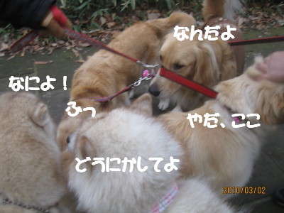 e0121548_21305318.jpg