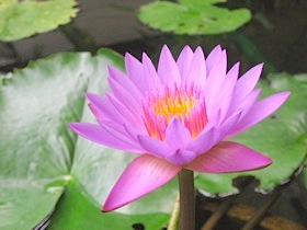 b0025850_21404390.jpg