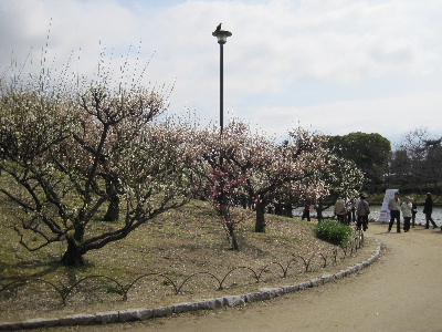 e0126054_115175.jpg