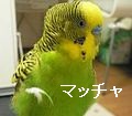 f0196665_0101291.jpg