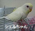 f0196665_0134532.jpg
