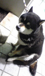 f0204069_2336447.jpg