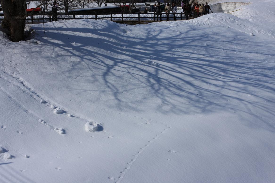 c0153672_2375436.jpg