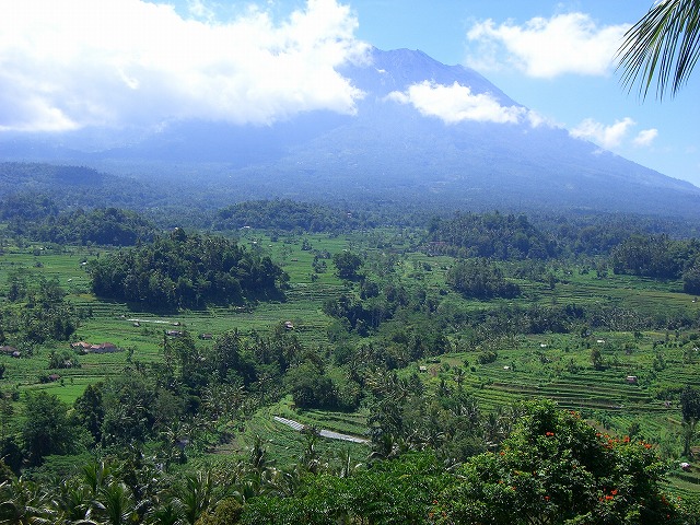 b0101284_22141340.jpg