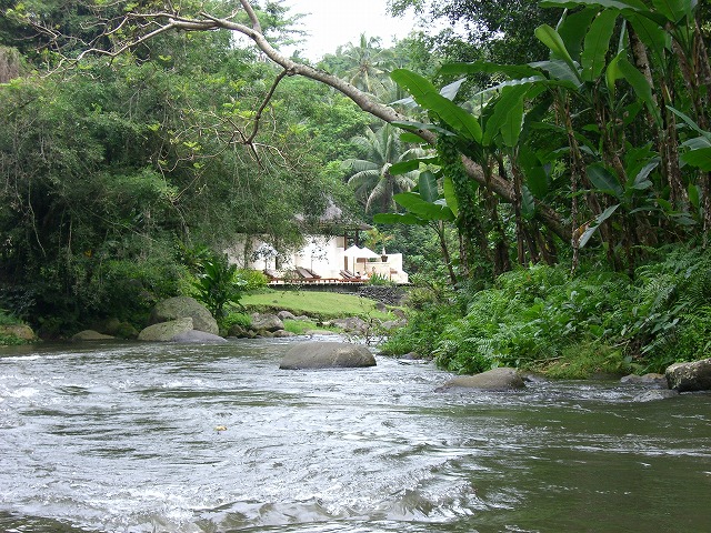 b0101284_2281553.jpg