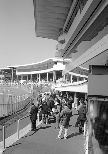 a0163788_2252057.jpg