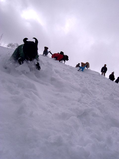 a0093592_1232496.jpg