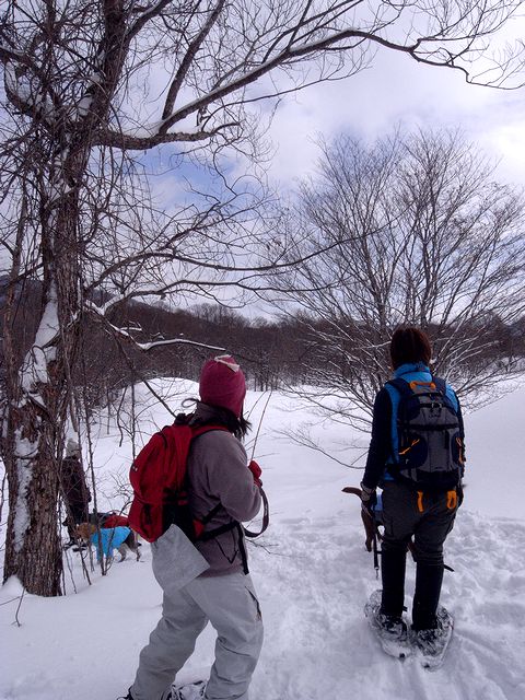 a0093592_1404340.jpg