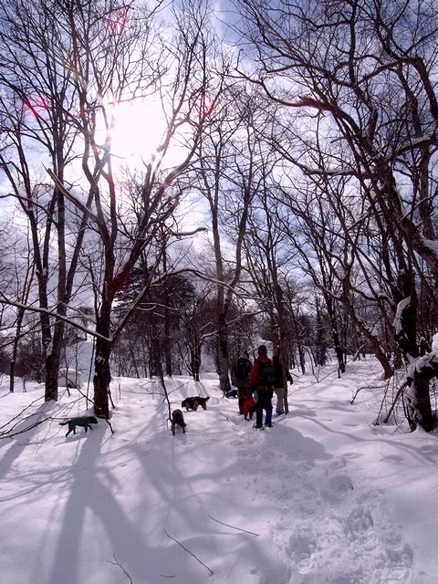 a0093592_156884.jpg