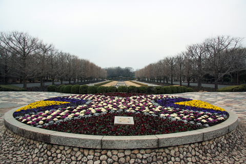 b0104592_1120385.jpg