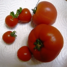 c0182096_5592380.jpg