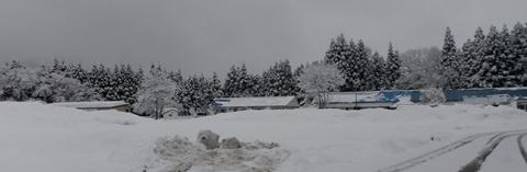 a0138198_11462557.jpg