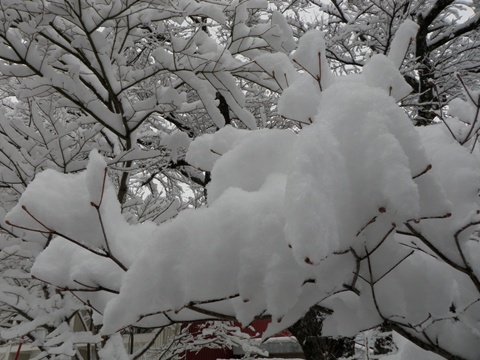 a0138198_1401294.jpg